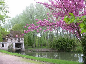 Le Moulin d'And�, Normandie, France